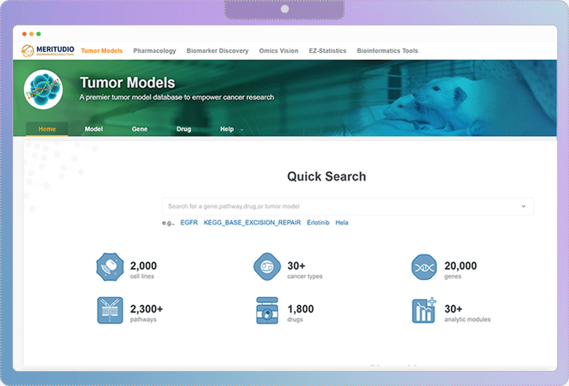 肿瘤模型 Tumor Models